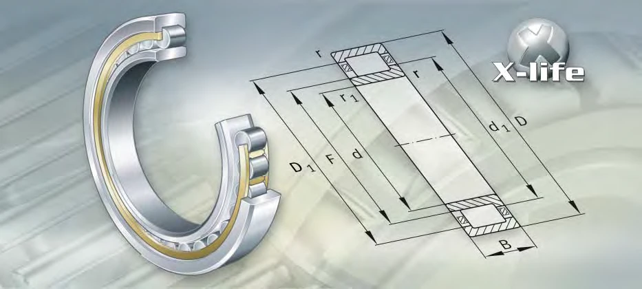 NU20530-E-M1 bearing drawing NU20530-E-M1 bearing drawing